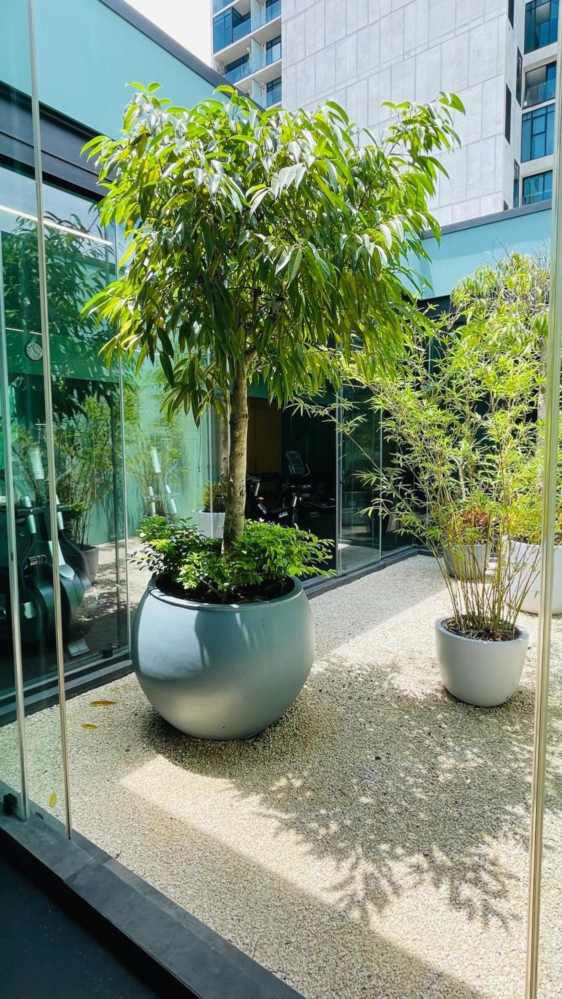 Cozy Apartment With Terrace, Sj Cosmopolitan Tower #402 San Jose  Exterior foto